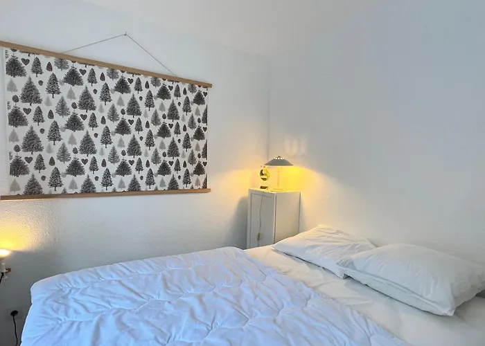 Centre Ville, T2 Avec Terrasse Et Parking Couvert. Appartement Cauterets