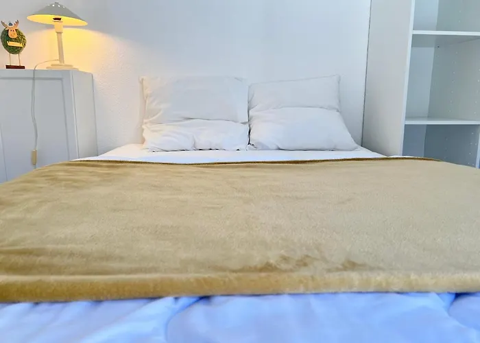 Centre Ville, T2 Avec Terrasse Et Parking Couvert. *